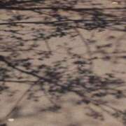 ヒメ日記 2026/04/14 07:15 投稿 舞(まい) ロケットワイフ