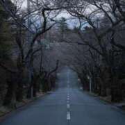 ヒメ日記 2026/04/14 17:06 投稿 舞(まい) ロケットワイフ