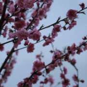 ヒメ日記 2026/04/16 21:00 投稿 舞(まい) ロケットワイフ