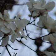 ヒメ日記 2026/04/24 14:19 投稿 舞(まい) ロケットワイフ