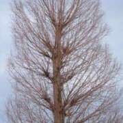 ヒメ日記 2026/04/24 18:58 投稿 舞(まい) ロケットワイフ