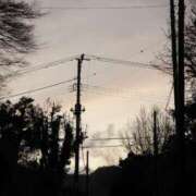 ヒメ日記 2026/04/28 21:24 投稿 舞(まい) ロケットワイフ