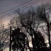 ヒメ日記 2026/05/04 14:15 投稿 舞(まい) ロケットワイフ