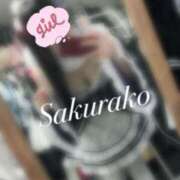 ヒメ日記 2025/03/14 05:21 投稿 さくらこ Baby Doll's