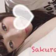 ヒメ日記 2025/11/25 20:33 投稿 さくらこ Baby Doll's