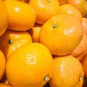 ヒメ日記 2024/12/21 23:19 投稿 椎名あいら 宝石箱(すすきの)