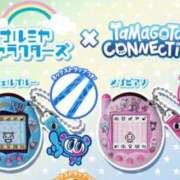 ヒメ日記 2025/03/11 21:33 投稿 椎名あいら 宝石箱(すすきの)
