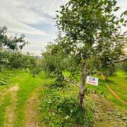 ヒメ日記 2025/05/01 20:34 投稿 椎名あいら 宝石箱(すすきの)