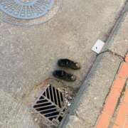 ヒメ日記 2025/05/29 18:48 投稿 椎名あいら 宝石箱(すすきの)