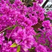 ヒメ日記 2025/06/05 18:48 投稿 椎名あいら 宝石箱(すすきの)