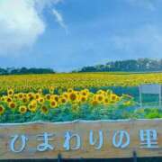 ヒメ日記 2025/08/07 13:39 投稿 椎名あいら 宝石箱(すすきの)