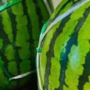 ヒメ日記 2025/08/19 14:06 投稿 椎名あいら 宝石箱(すすきの)