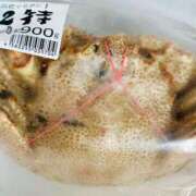 ヒメ日記 2025/09/23 20:18 投稿 椎名あいら 宝石箱(すすきの)