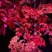 ヒメ日記 2025/10/27 22:03 投稿 椎名あいら 宝石箱(すすきの)