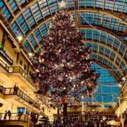 ヒメ日記 2025/11/20 22:03 投稿 椎名あいら 宝石箱(すすきの)