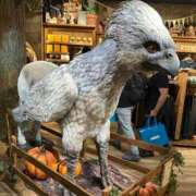 ヒメ日記 2025/11/30 23:33 投稿 椎名あいら 宝石箱(すすきの)