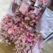 ヒメ日記 2026/01/20 21:33 投稿 椎名あいら 宝石箱(すすきの)