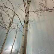 ヒメ日記 2026/02/25 11:33 投稿 椎名あいら 宝石箱(すすきの)