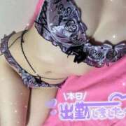 ヒメ日記 2025/03/31 09:54 投稿 ゆい ドンファン