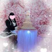 ヒメ日記 2025/04/01 08:01 投稿 ゆい ドンファン