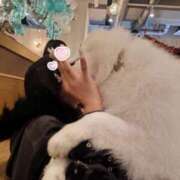 ヒメ日記 2025/12/02 23:30 投稿 ゆい ドンファン