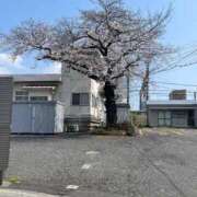 ヒメ日記 2026/03/29 12:57 投稿 ゆい ドンファン