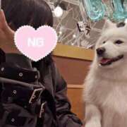 ヒメ日記 2026/04/09 19:53 投稿 ゆい ドンファン