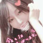 ヒメ日記 2025/03/06 04:05 投稿 桜香 李白（りぽ）