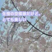 ヒメ日記 2025/04/06 19:31 投稿 桜香 李白（りぽ）