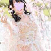 ヒメ日記 2025/04/10 21:44 投稿 桜香 李白（りぽ）