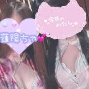 ヒメ日記 2025/04/13 00:09 投稿 桜香 李白（りぽ）