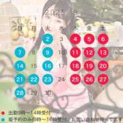 ヒメ日記 2025/09/01 08:44 投稿 桜香 李白（りぽ）