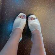 ヒメ日記 2025/11/24 17:01 投稿 桜香 李白（りぽ）