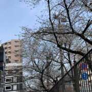 ヒメ日記 2025/03/28 02:19 投稿 サラ 痴女Ｍ性感カリスマ