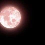 ヒメ日記 2025/01/14 13:06 投稿 くみ 熟女の風俗最終章 蒲田店