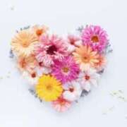 ヒメ日記 2025/02/22 08:28 投稿 くみ 熟女の風俗最終章 蒲田店