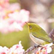 ヒメ日記 2025/02/27 10:16 投稿 くみ 熟女の風俗最終章 蒲田店