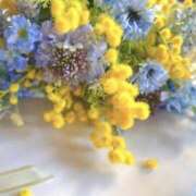 ヒメ日記 2025/03/09 11:06 投稿 くみ 熟女の風俗最終章 蒲田店