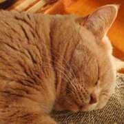 ヒメ日記 2025/03/18 08:46 投稿 くみ 熟女の風俗最終章 蒲田店