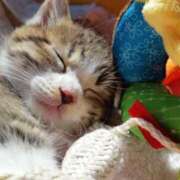 ヒメ日記 2025/03/22 07:57 投稿 くみ 熟女の風俗最終章 蒲田店