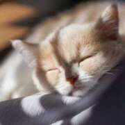 ヒメ日記 2025/03/23 07:16 投稿 くみ 熟女の風俗最終章 蒲田店