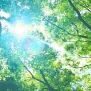 ヒメ日記 2025/03/27 12:20 投稿 くみ 熟女の風俗最終章 蒲田店