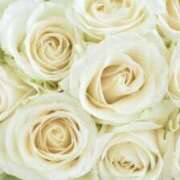 ヒメ日記 2025/03/30 10:50 投稿 くみ 熟女の風俗最終章 蒲田店