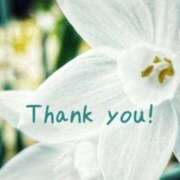 ヒメ日記 2025/04/05 12:08 投稿 くみ 熟女の風俗最終章 蒲田店