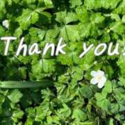 ヒメ日記 2025/04/24 13:36 投稿 くみ 熟女の風俗最終章 蒲田店