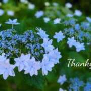 ヒメ日記 2025/05/17 18:24 投稿 くみ 熟女の風俗最終章 蒲田店