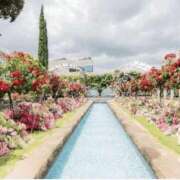 ヒメ日記 2025/05/19 08:27 投稿 くみ 熟女の風俗最終章 蒲田店