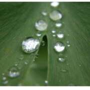 ヒメ日記 2025/05/23 08:52 投稿 くみ 熟女の風俗最終章 蒲田店