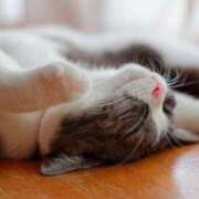 ヒメ日記 2025/05/29 13:30 投稿 くみ 熟女の風俗最終章 蒲田店