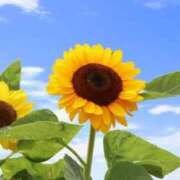 ヒメ日記 2025/06/17 09:20 投稿 くみ 熟女の風俗最終章 蒲田店